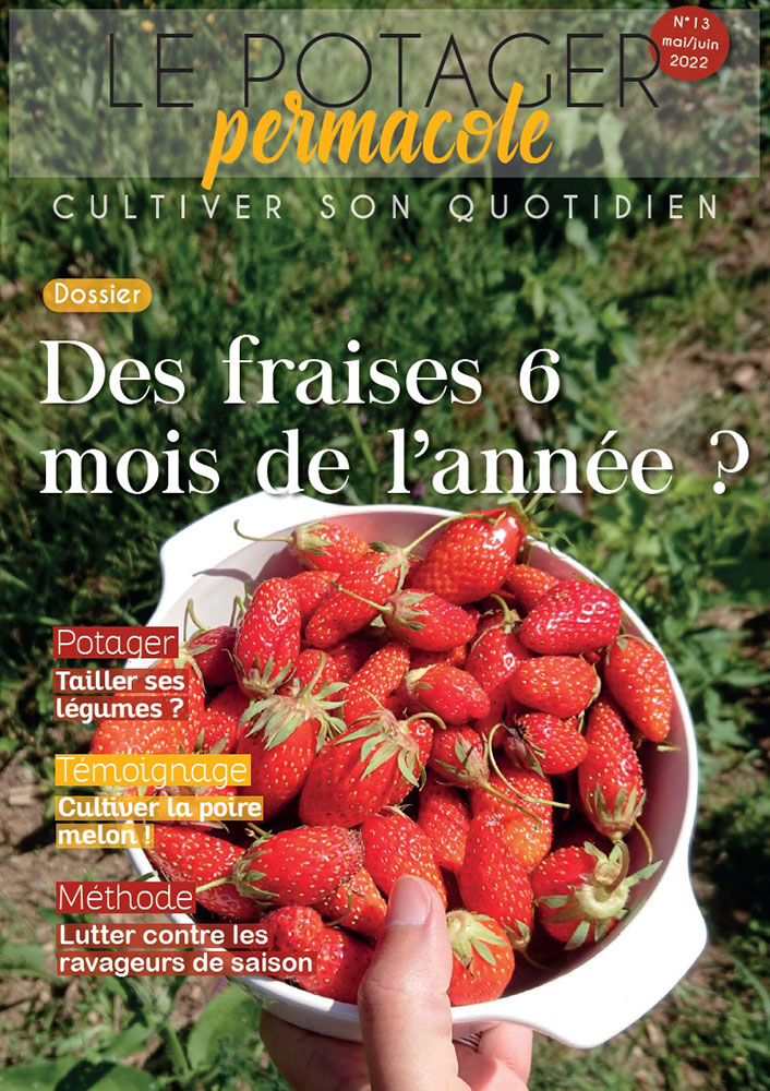 Grainothèque et kit de démarrage de Potager Bio, par Terre Vivante -  Grelinette et Cassolettes