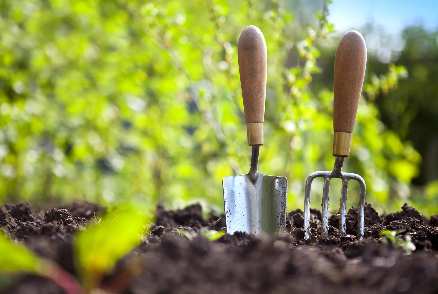 outils jardin potager bio