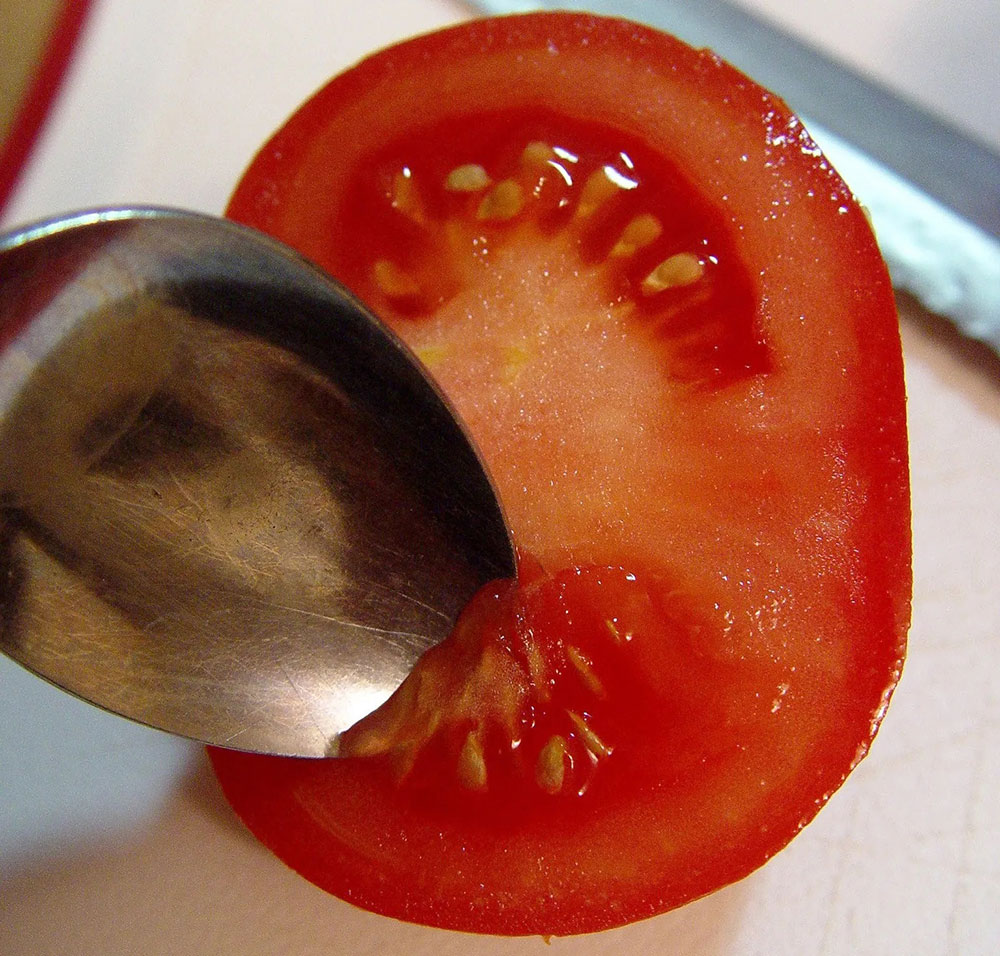 Récupérer les graines de tomates : mes étapes