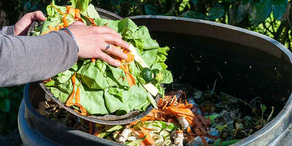 faire compost melange petit potager bio