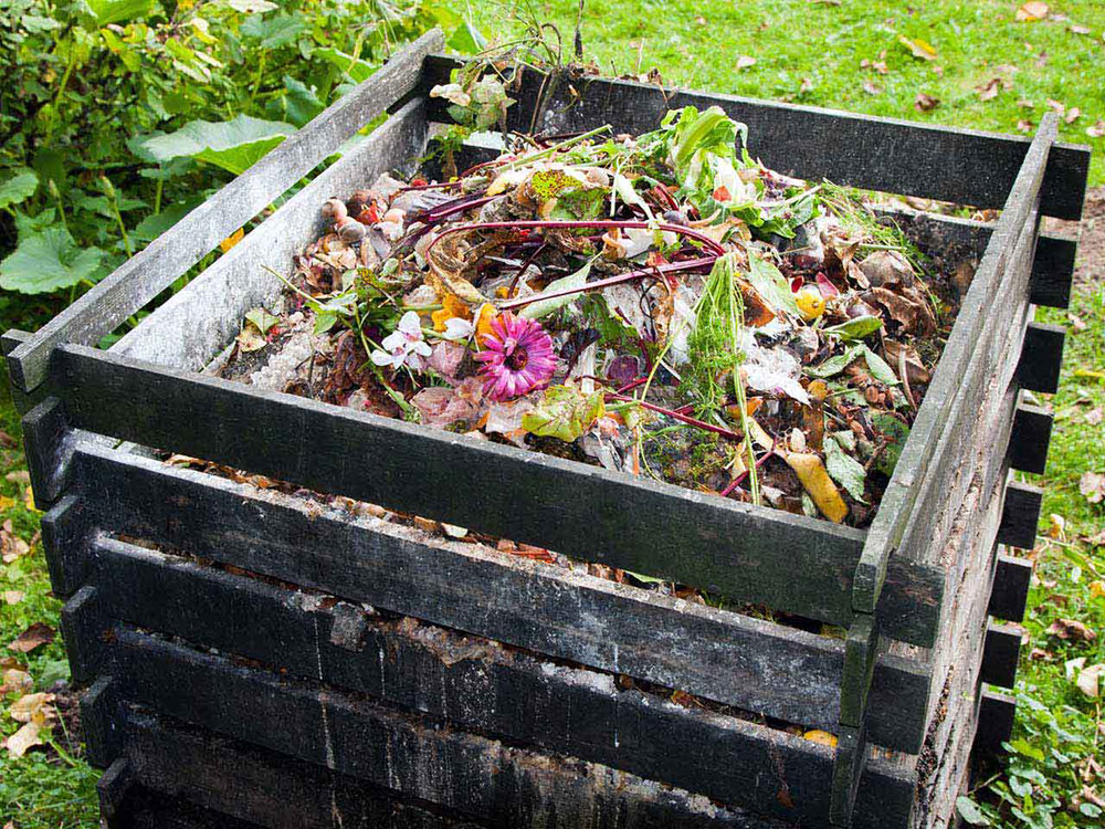 petit potager compost