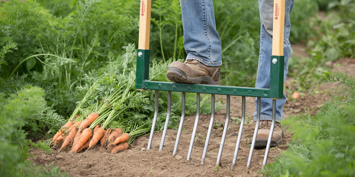 grelinette outil incontournable potager bio petit potager