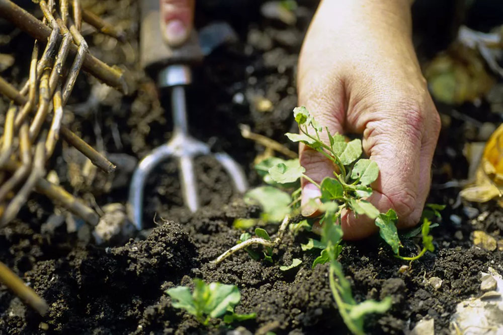 Potager composteur Easy Jardin 800