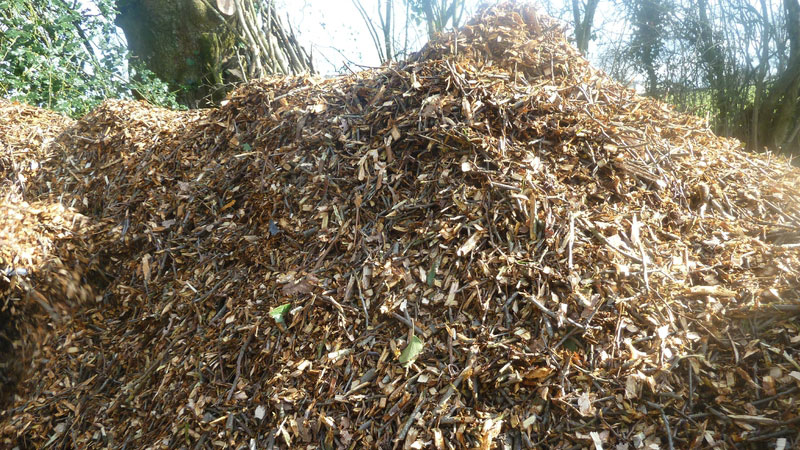 petit potager mulch brf