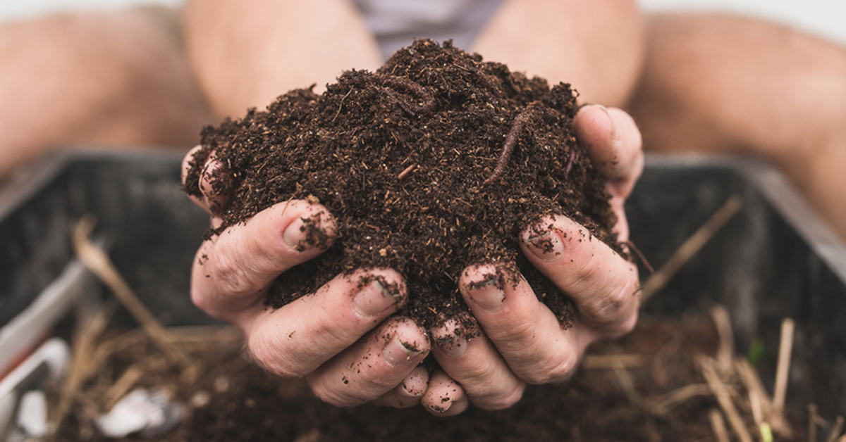 terre franche ideale jardin potager bio