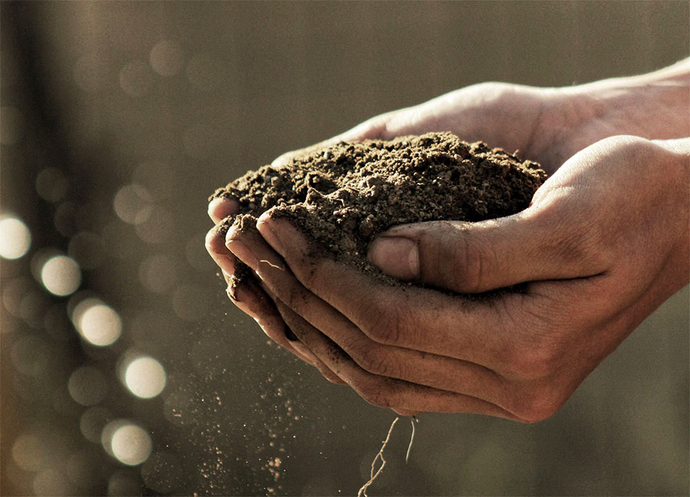 type de sol petit jardin potager bio