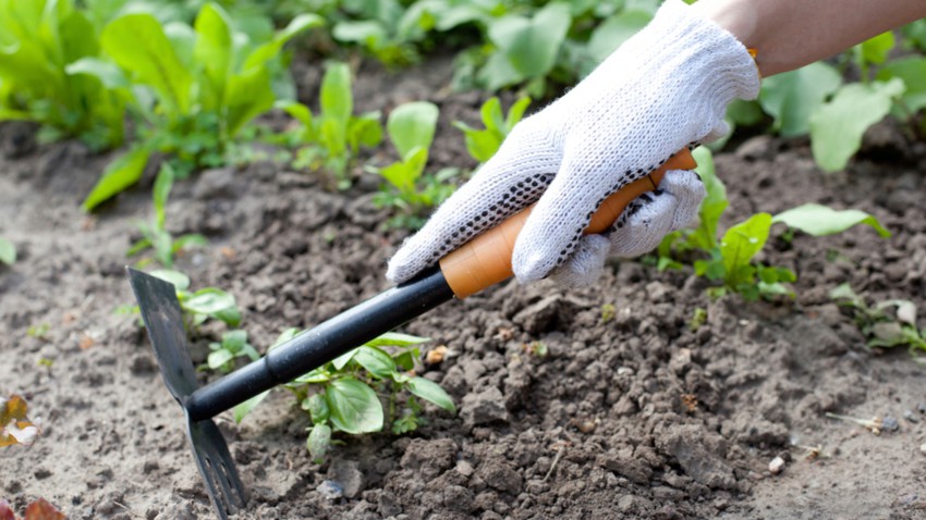 comment biner son jardin