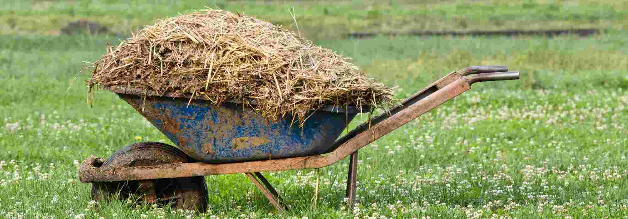 fumier janvier petit potager